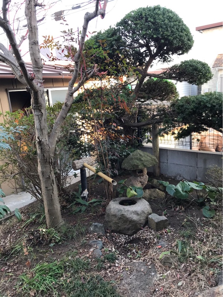 f:id:kozumakun:20210228094347j:image