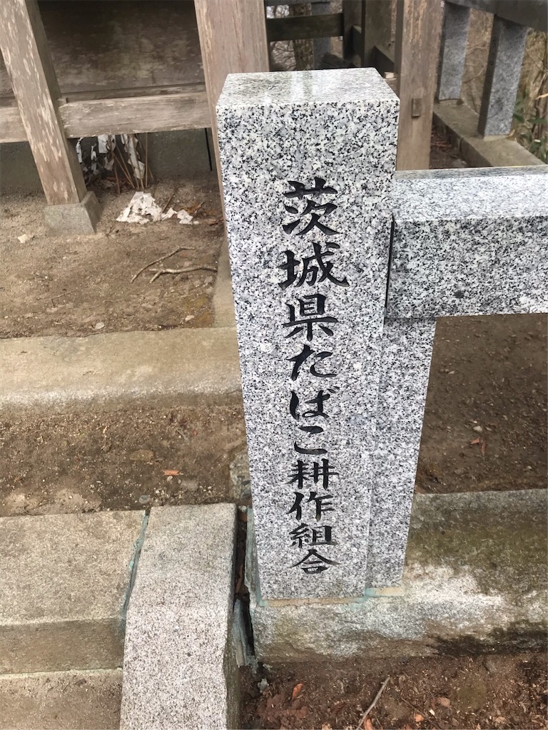 f:id:kozumakun:20210405182547j:image
