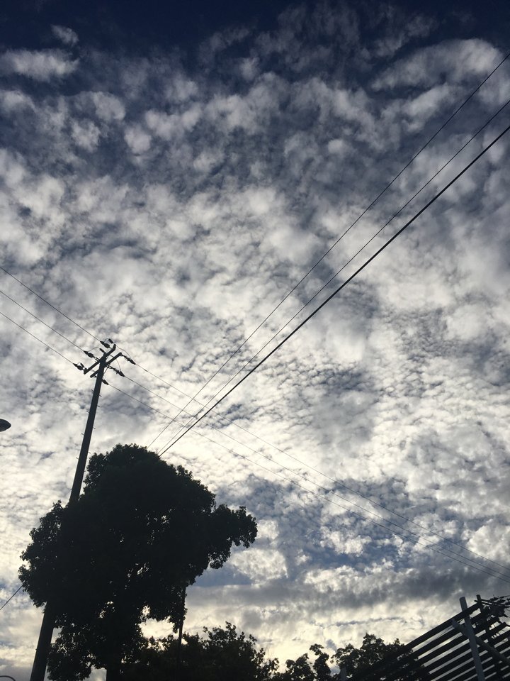 f:id:kozupixi:20170901215749j:plain