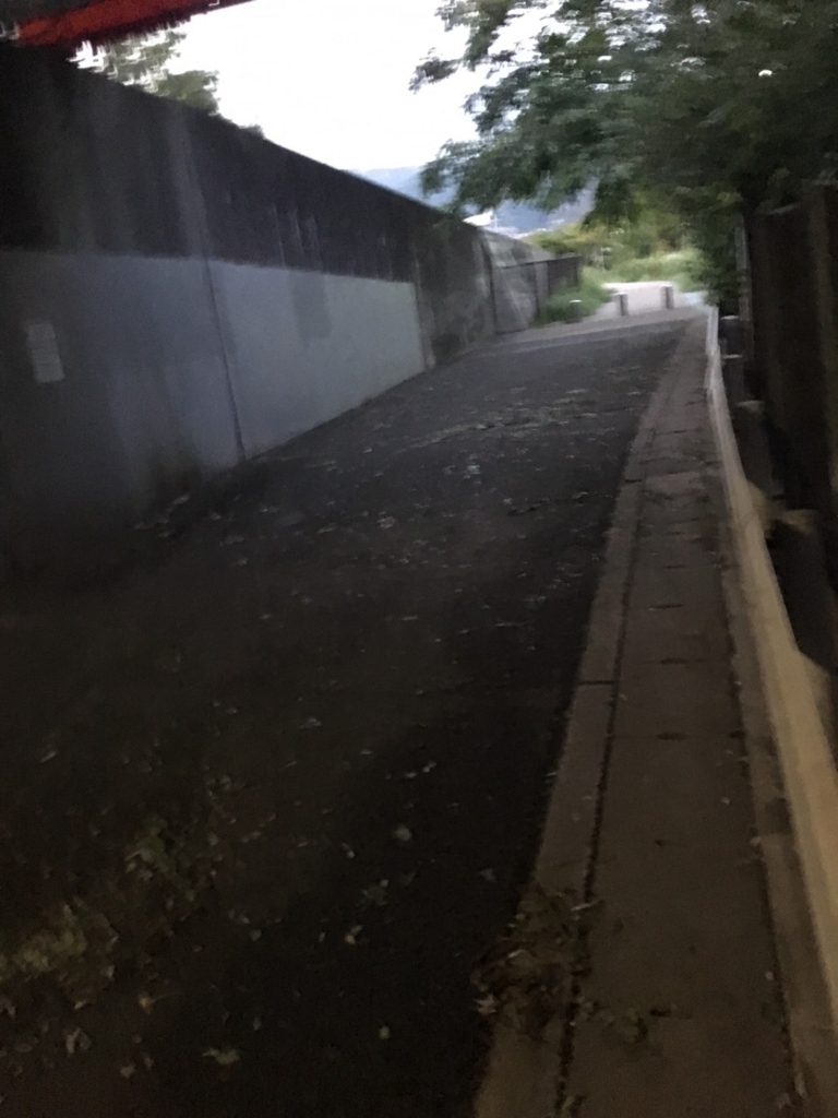 f:id:kozupixi:20170918185953j:plain