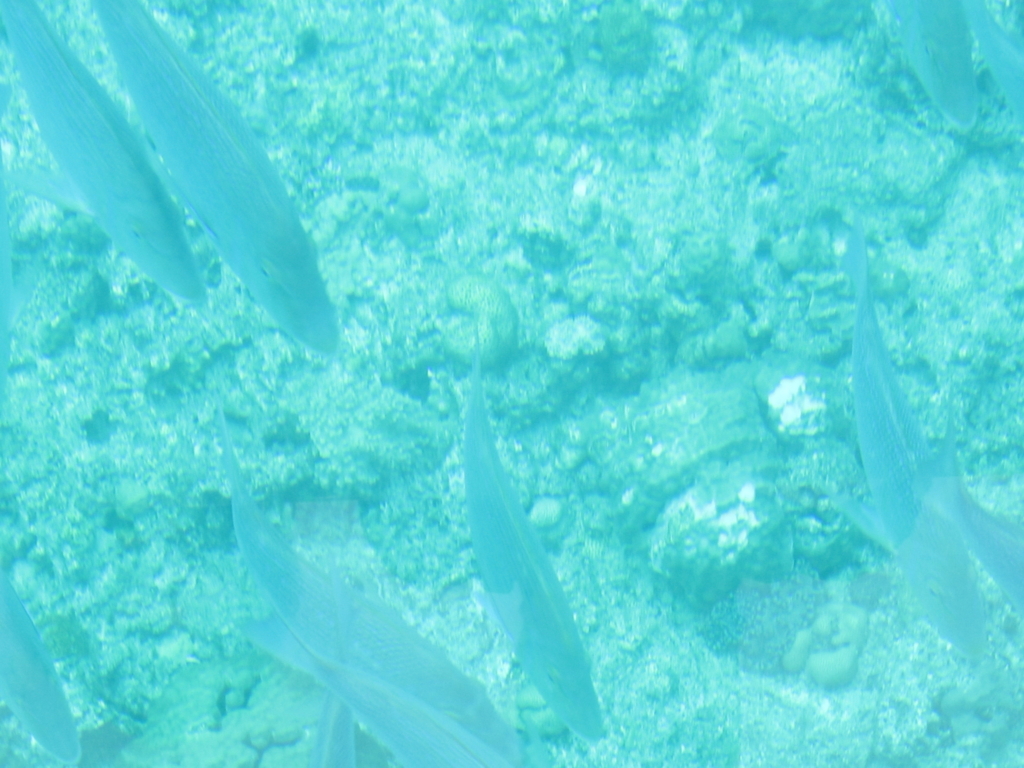 f:id:kozuretabibito:20170212052702j:plain