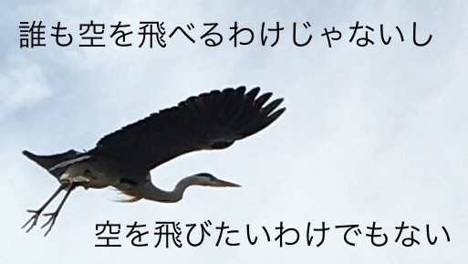 f:id:kp4323w3255b5t267:20170914103418j:plain f:id:kp4323w3255b5t267:20170914103418j:plain