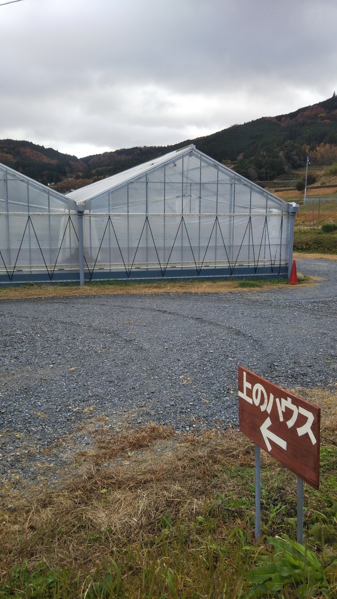 f:id:kpnsq958:20211127103657j:plain