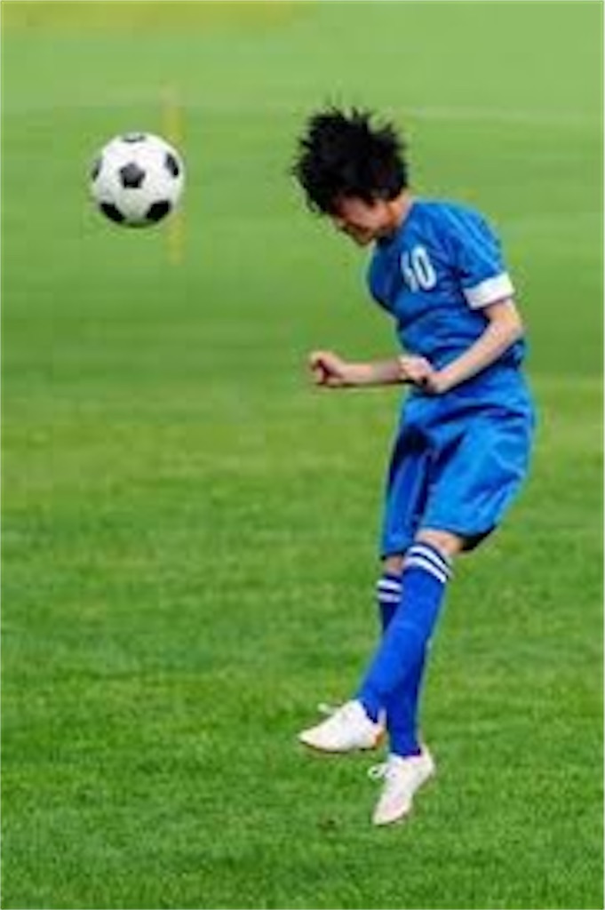f:id:kponkun:20230611225731j:image