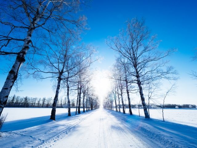 北海道高速道路