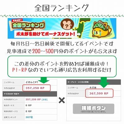 全国ランキング