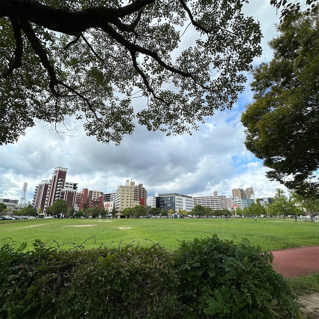 f:id:kq7:20251006075719j:image