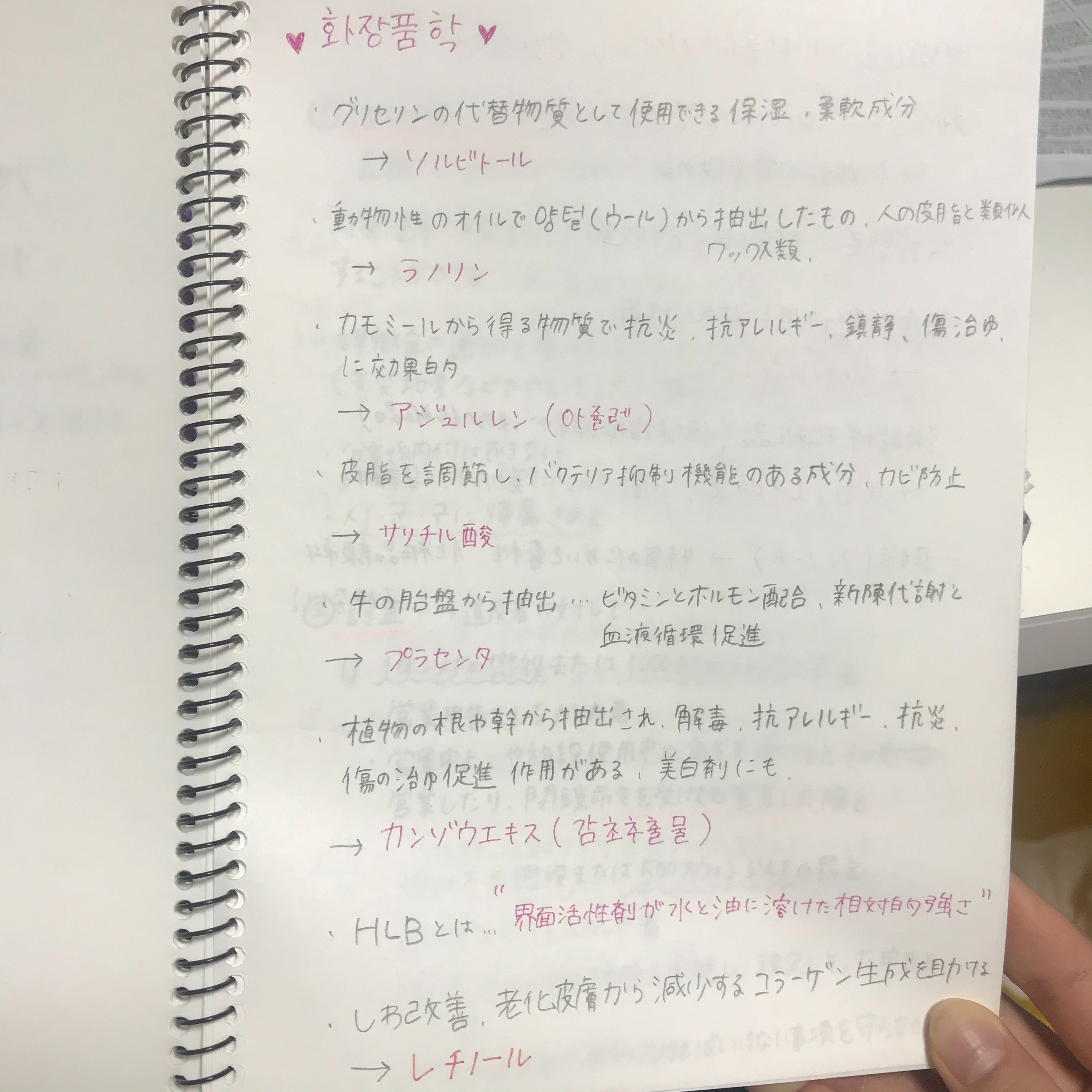f:id:kreaikapi:20200211233527j:image f:id:kreaikapi:20200211233527j:image