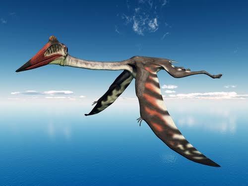 f:id:krockworks:20220123092725j:plain