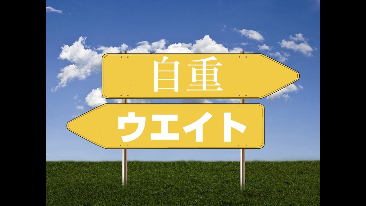 f:id:krokapitan:20190313230915j:plain