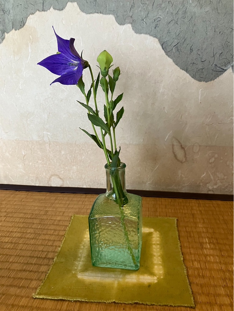 f:id:krokovski1868:20240706045116j:image