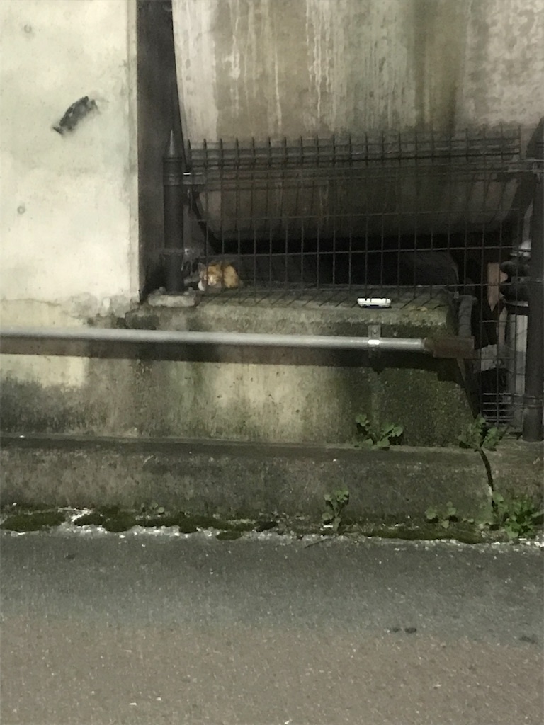f:id:krpsarps:20190726223601j:image f:id:krpsarps:20190726223601j:image