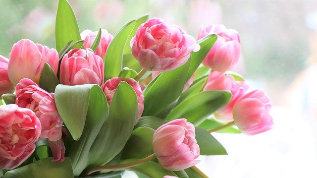 f:id:krtekkun:20220301000745j:plain