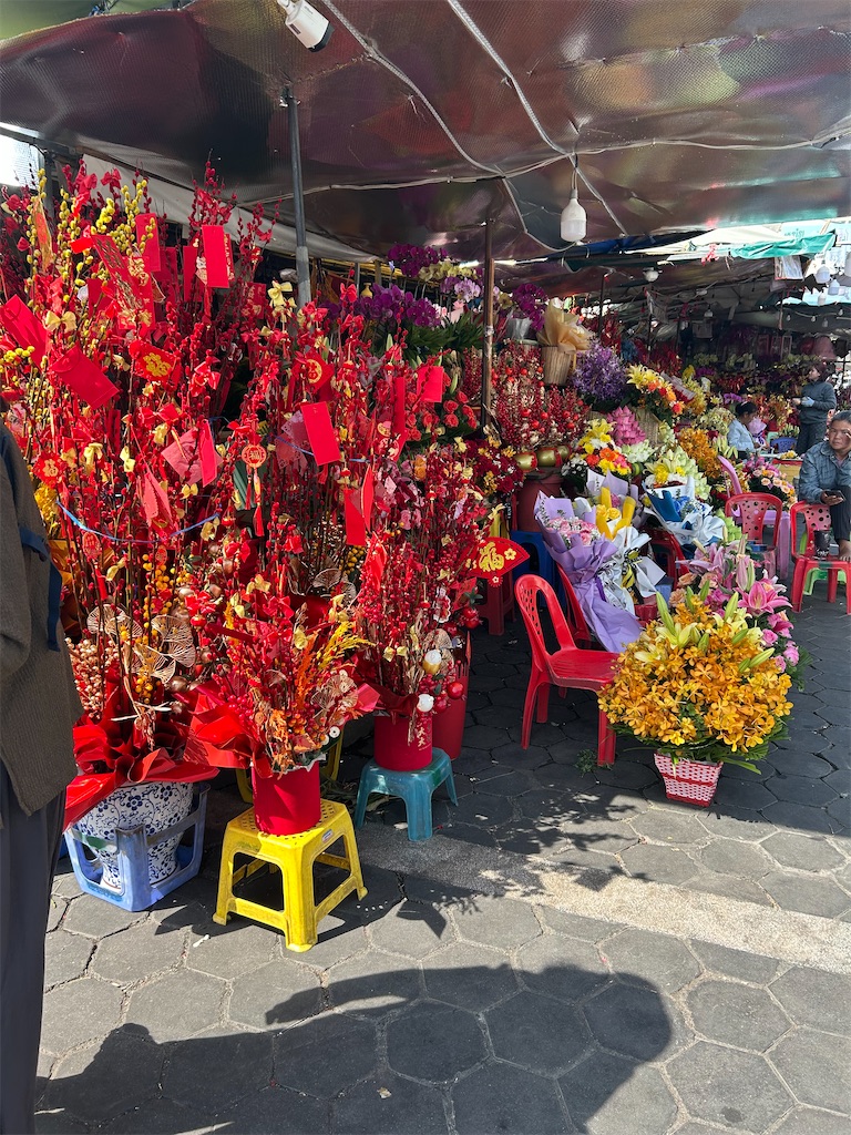 f:id:krtekkun:20250111225835j:image f:id:krtekkun:20250111225835j:image
