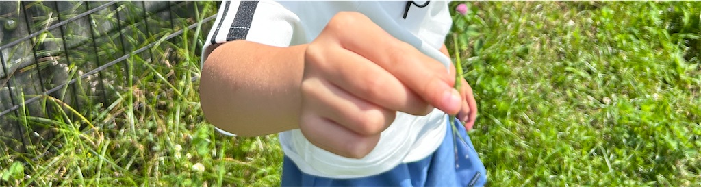 f:id:krtekkun:20250908174623j:image