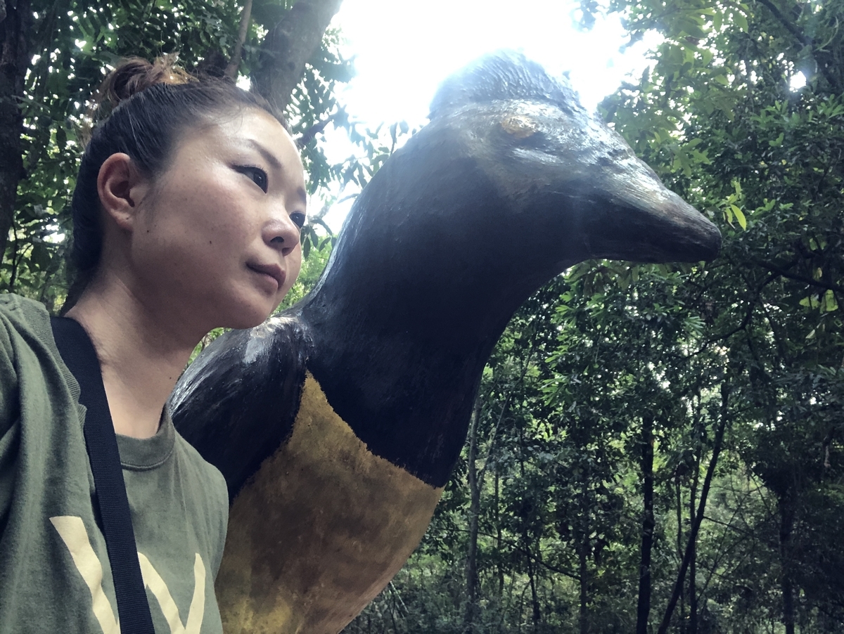 f:id:krymk039:20191107002307j:plain