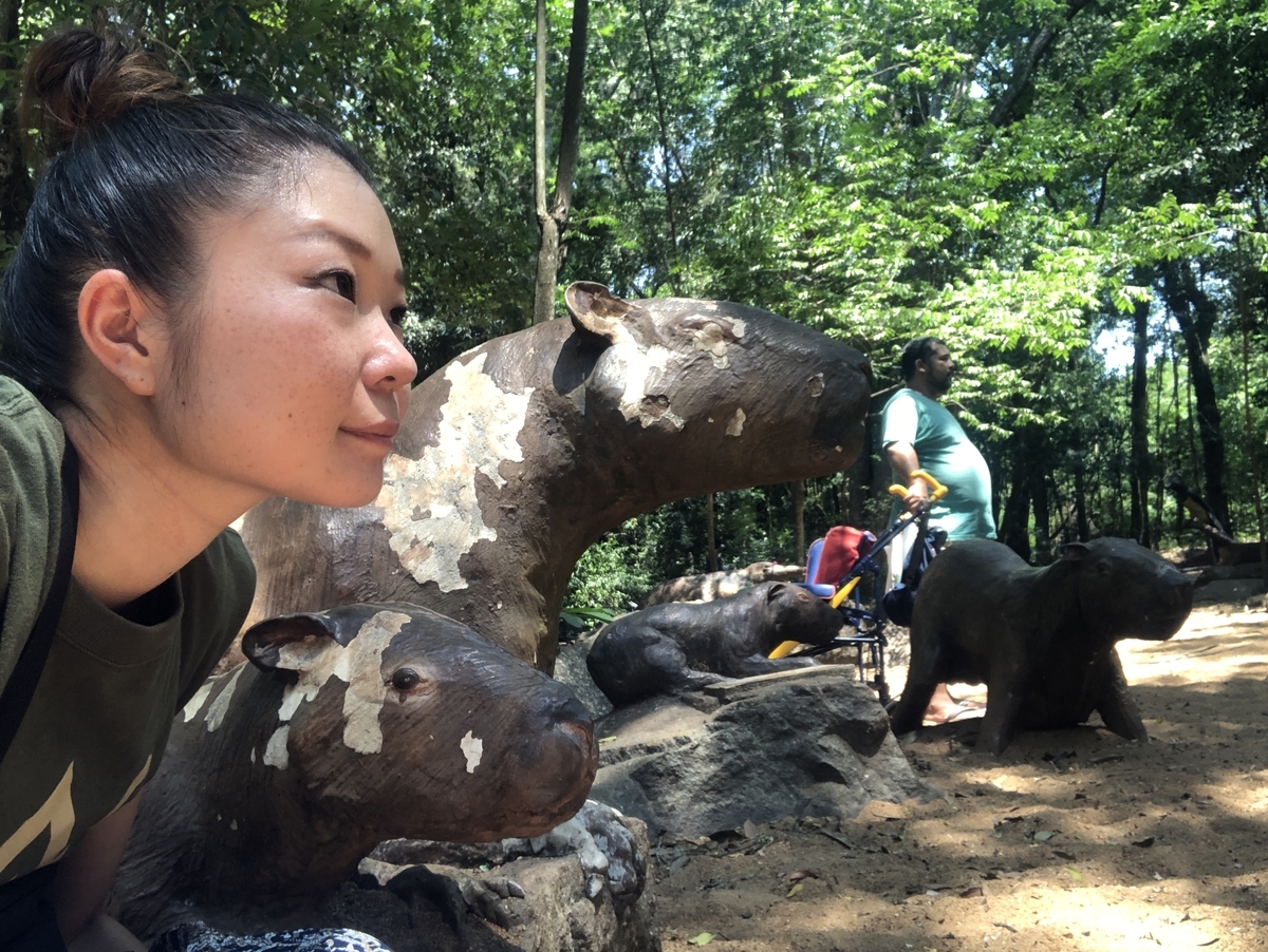 f:id:krymk039:20191107002402j:plain
