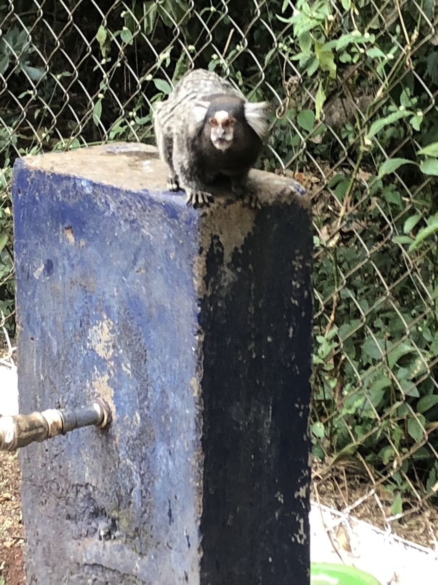 f:id:krymk039:20191107004723j:plain