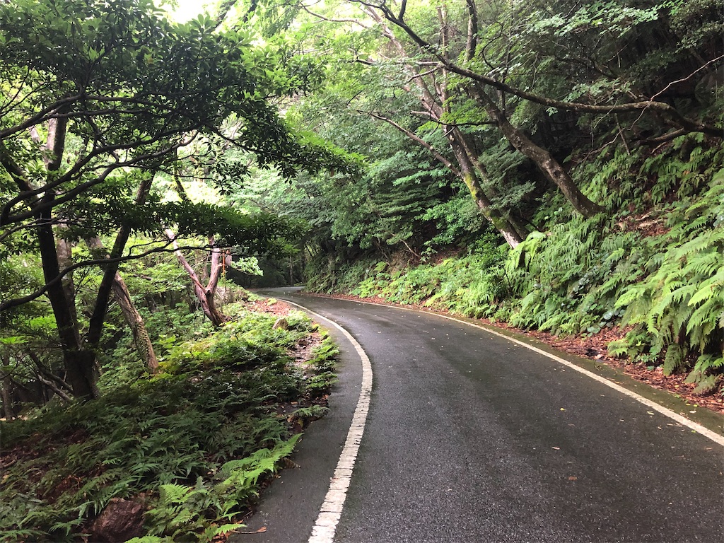 f:id:kryo428:20220719202809j:image