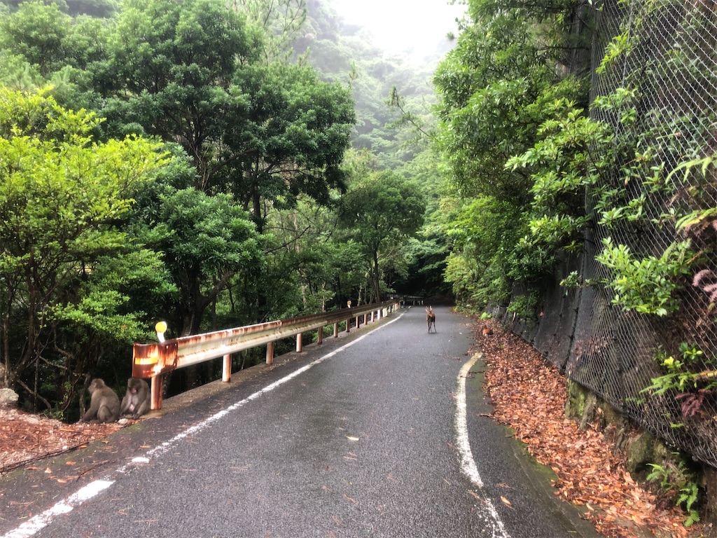 f:id:kryo428:20220719203012j:image