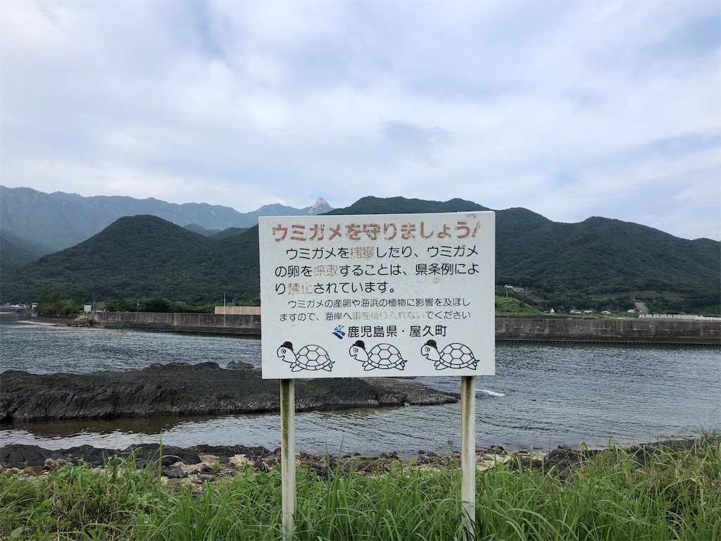 f:id:kryo428:20220719203735j:image