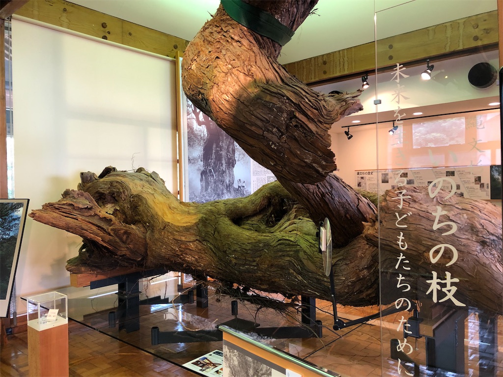 f:id:kryo428:20220719203748j:image