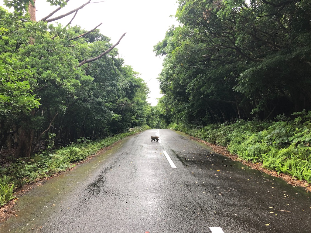 f:id:kryo428:20220719203811j:image