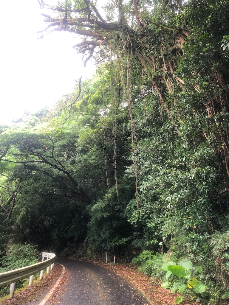 f:id:kryo428:20220719203823j:image