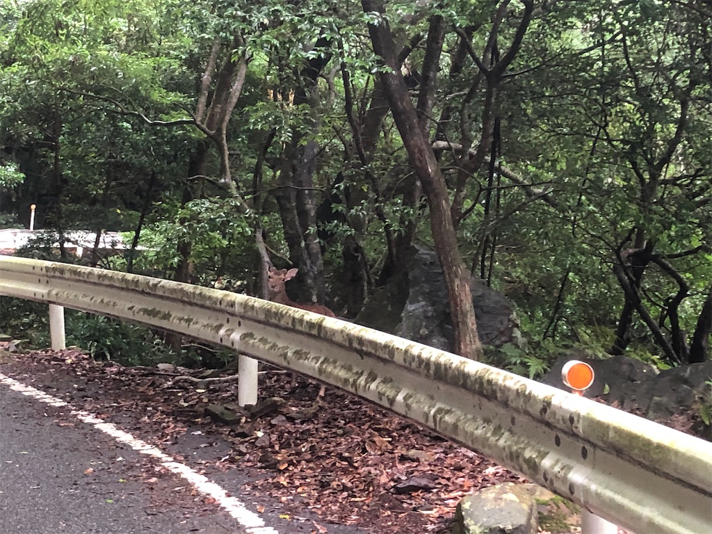 f:id:kryo428:20220719203834j:image