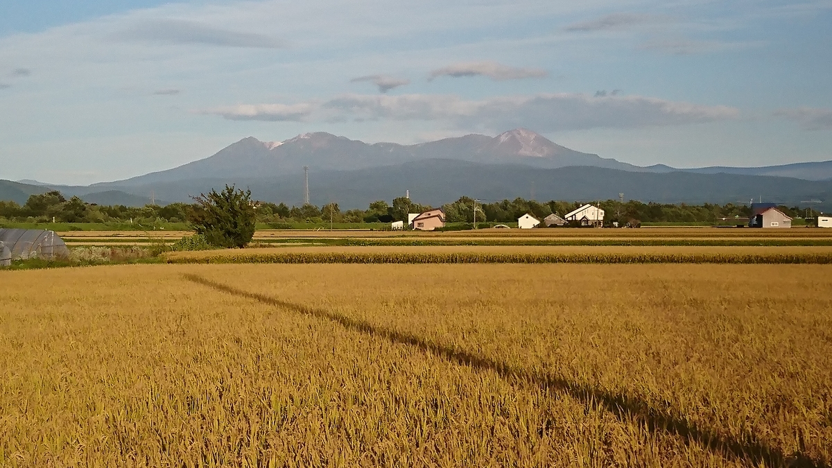 f:id:ks_kaz2:20190922215143j:plain