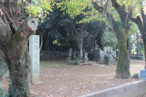 f:id:ksagi:20190306221833j:plain f:id:ksagi:20190306221833j:plain