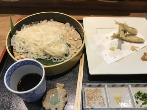 f:id:ksagi:20190310164634j:plain f:id:ksagi:20190310164634j:plain