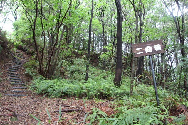 f:id:ksagi:20190505211833j:plain