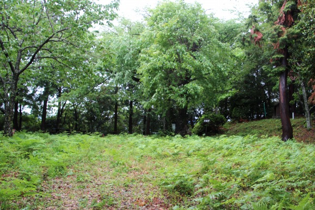 f:id:ksagi:20190505211901j:plain