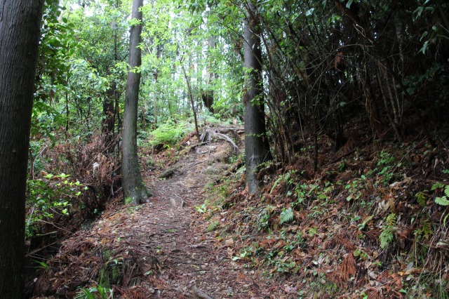 f:id:ksagi:20190505212450j:plain