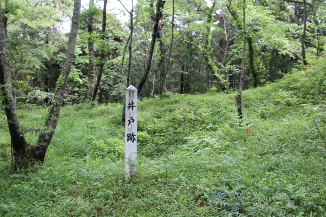 f:id:ksagi:20190506101935j:plain