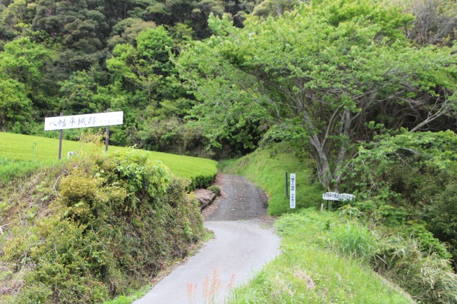 f:id:ksagi:20190506103008j:plain