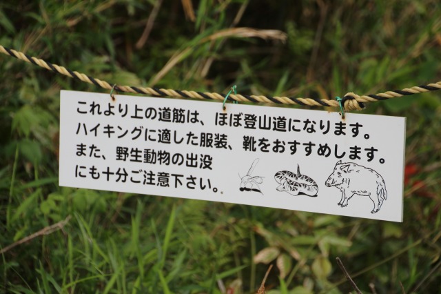 f:id:ksagi:20190506103022j:plain