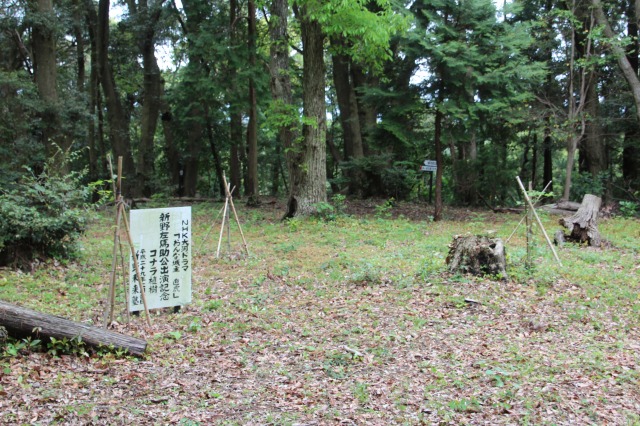 f:id:ksagi:20190506103231j:plain
