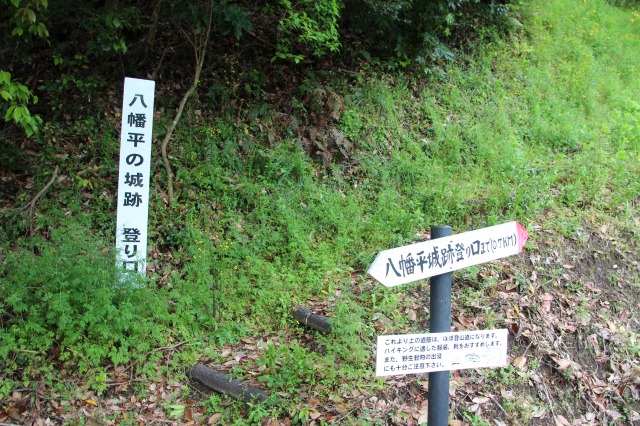 f:id:ksagi:20190506103535j:plain