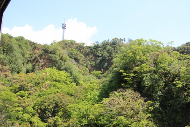 f:id:ksagi:20190506122355j:plain