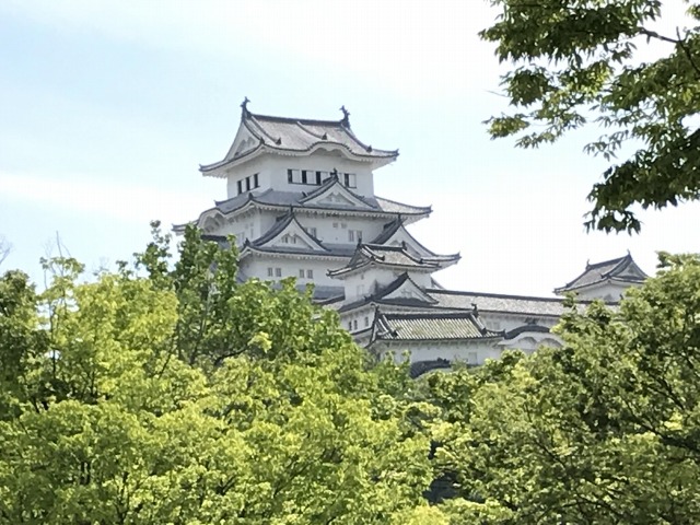 f:id:ksagi:20190512184810j:plain f:id:ksagi:20190512184810j:plain