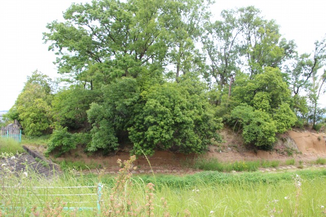 f:id:ksagi:20190520173131j:plain f:id:ksagi:20190520173131j:plain