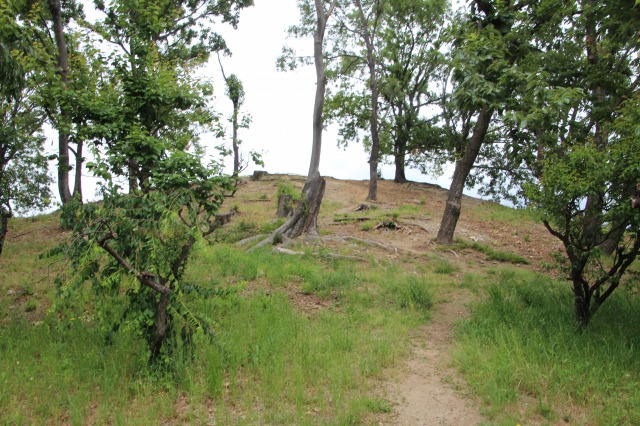 f:id:ksagi:20190520174200j:plain f:id:ksagi:20190520174200j:plain