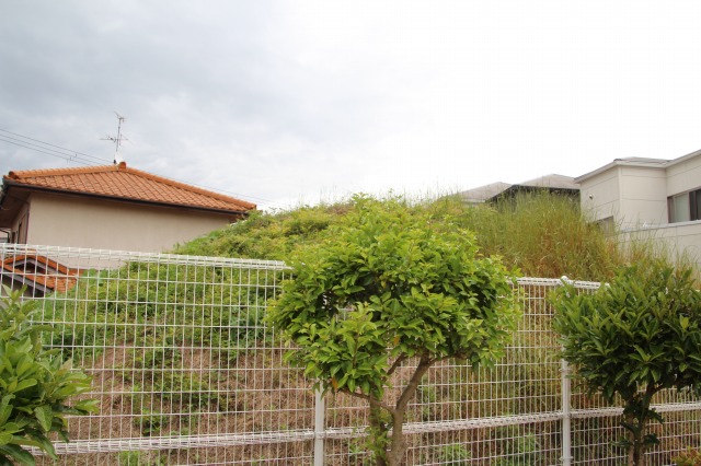 f:id:ksagi:20190520174435j:plain f:id:ksagi:20190520174435j:plain