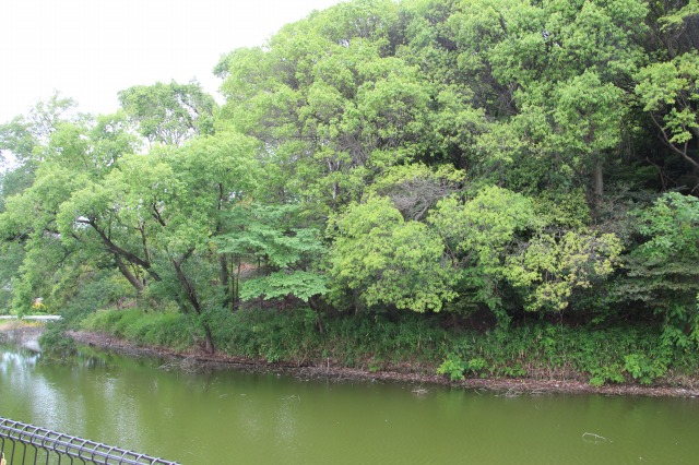 f:id:ksagi:20190520175000j:plain f:id:ksagi:20190520175000j:plain