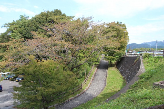 f:id:ksagi:20190623142642j:plain