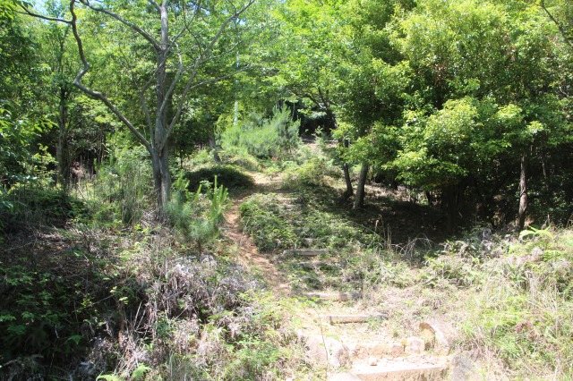 f:id:ksagi:20190628205330j:plain