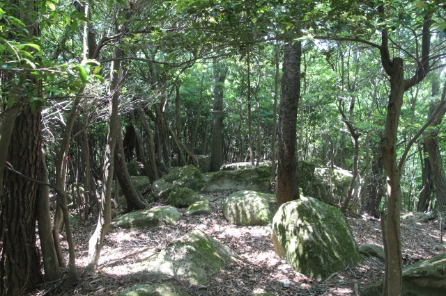 f:id:ksagi:20190628205529j:plain