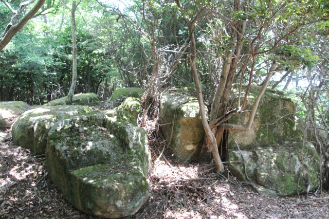 f:id:ksagi:20190628205648j:plain